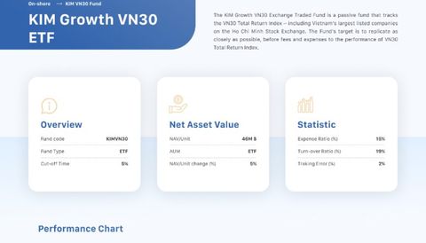 Fund summary: Overview, Net Asset Value and Statistic cards